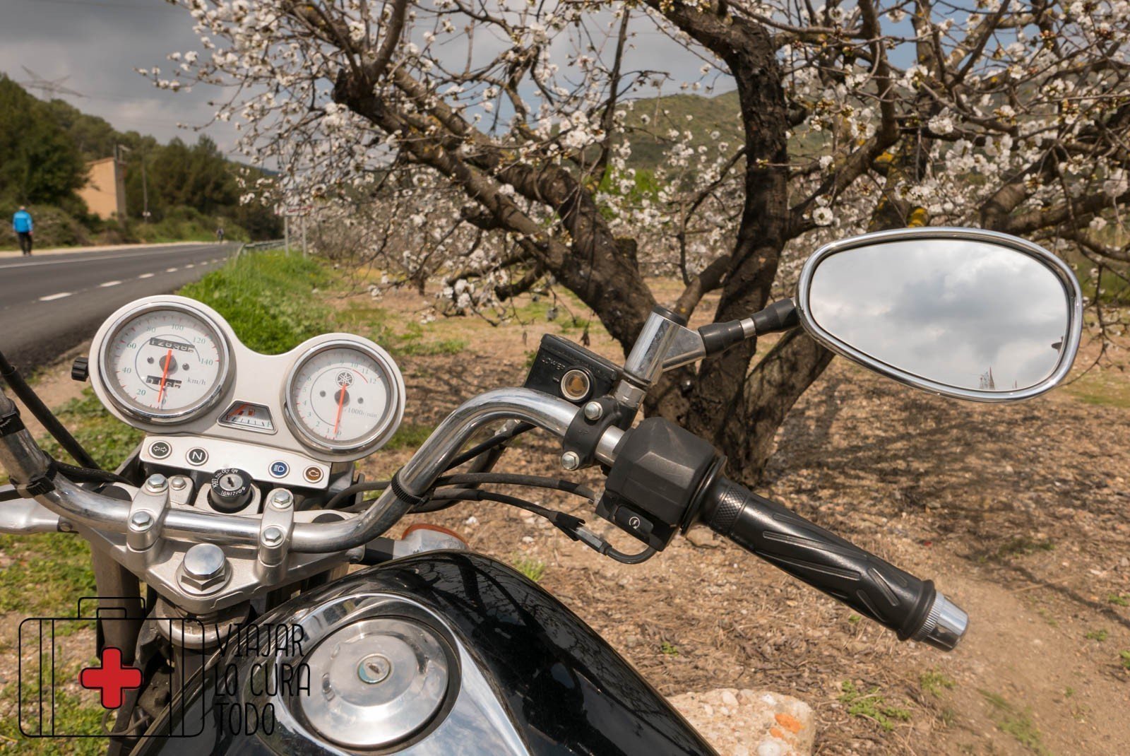 ¿Dónde ver cerezos en flor en Barcelona?