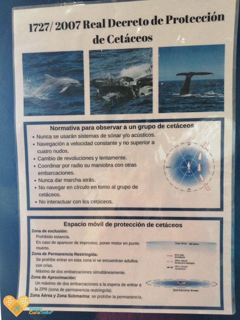 Avistamiento responsable de cetáceos