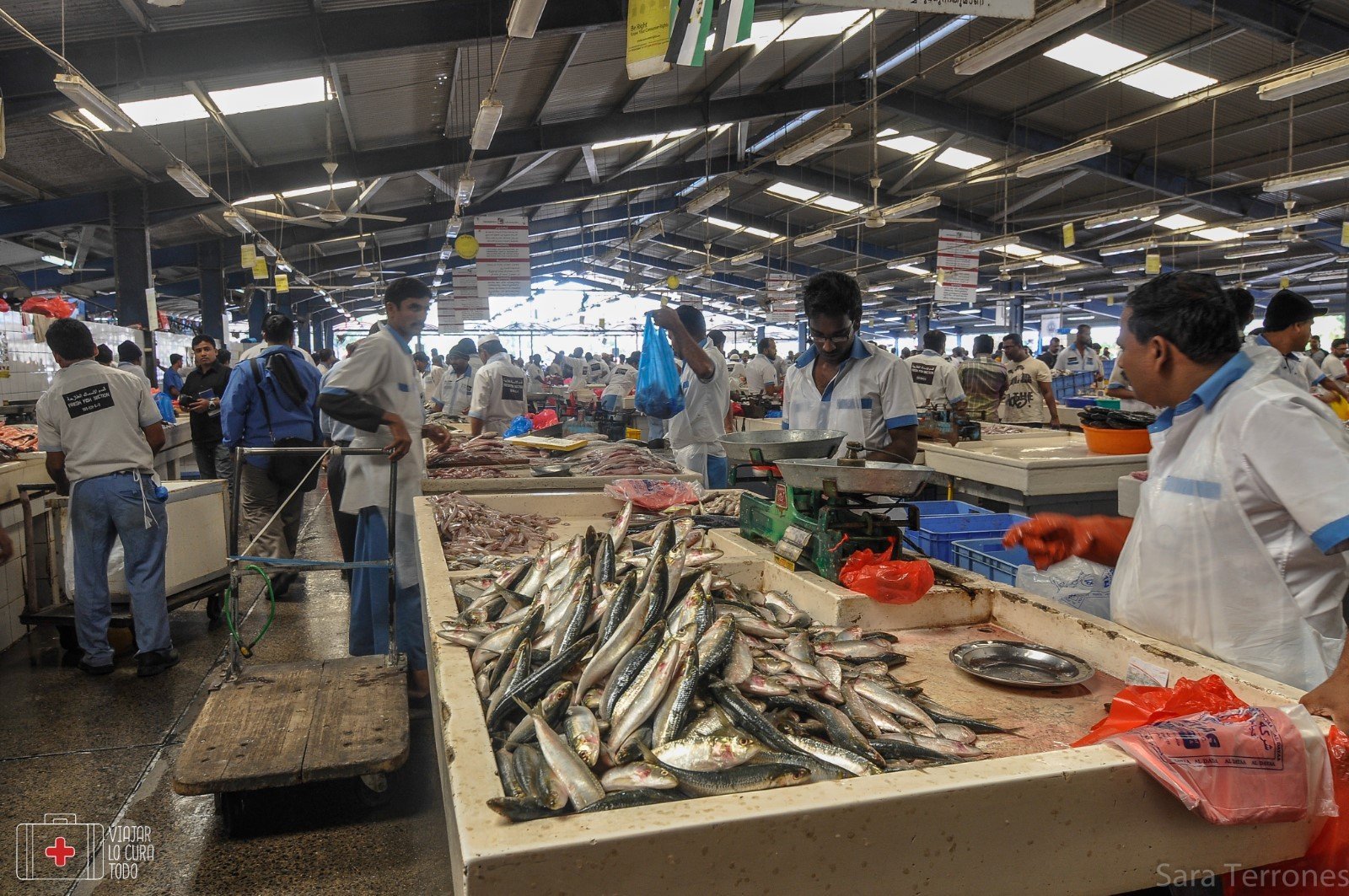 mercado pescado dubai