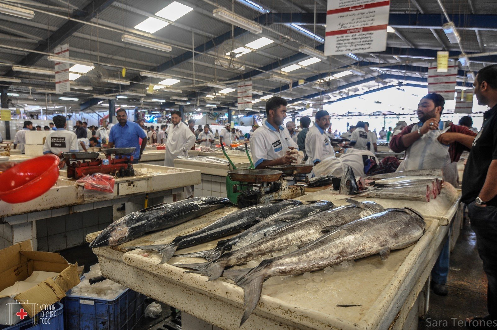 mercado pescado dubai