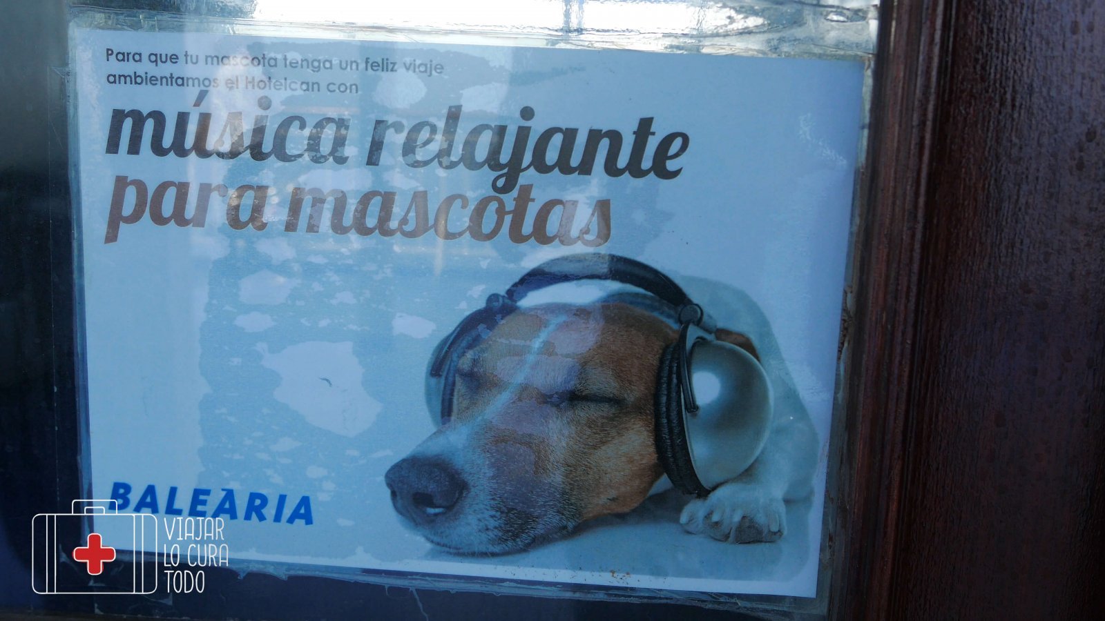 mascotas balearia