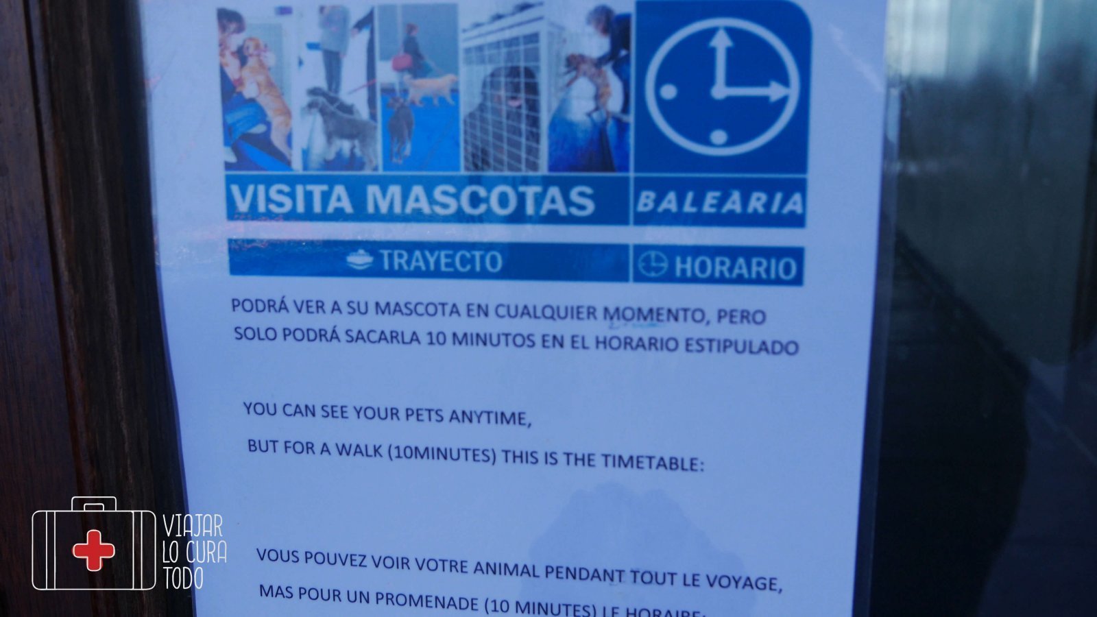 mascotas balearia