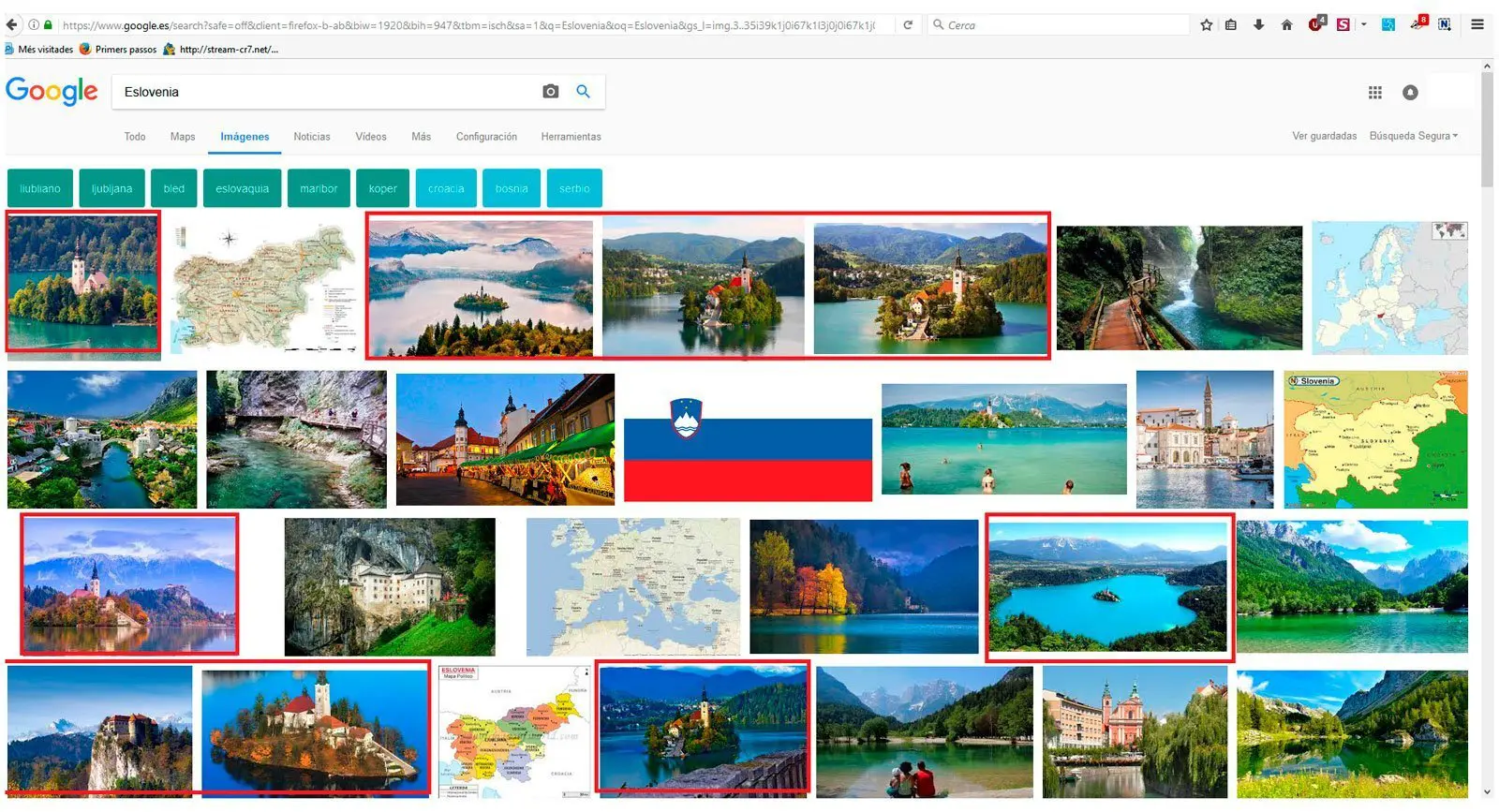 Eslovenia Google