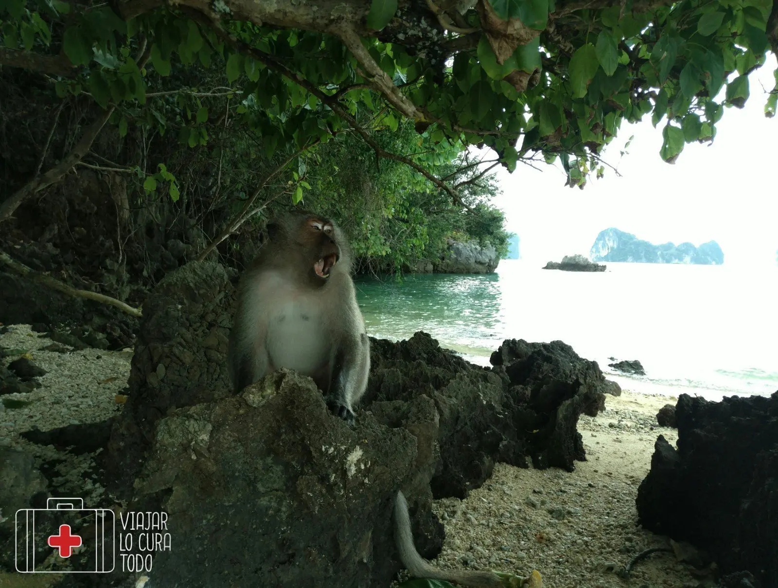 Koh Hong tour