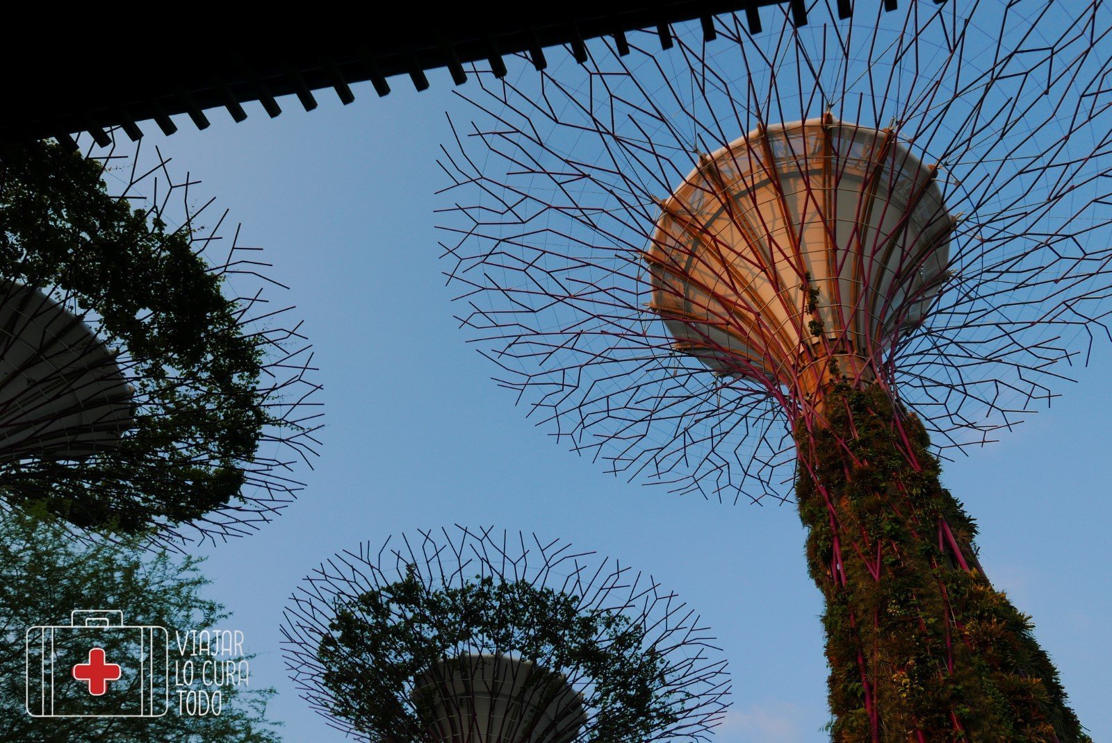 Super Trees Singapur