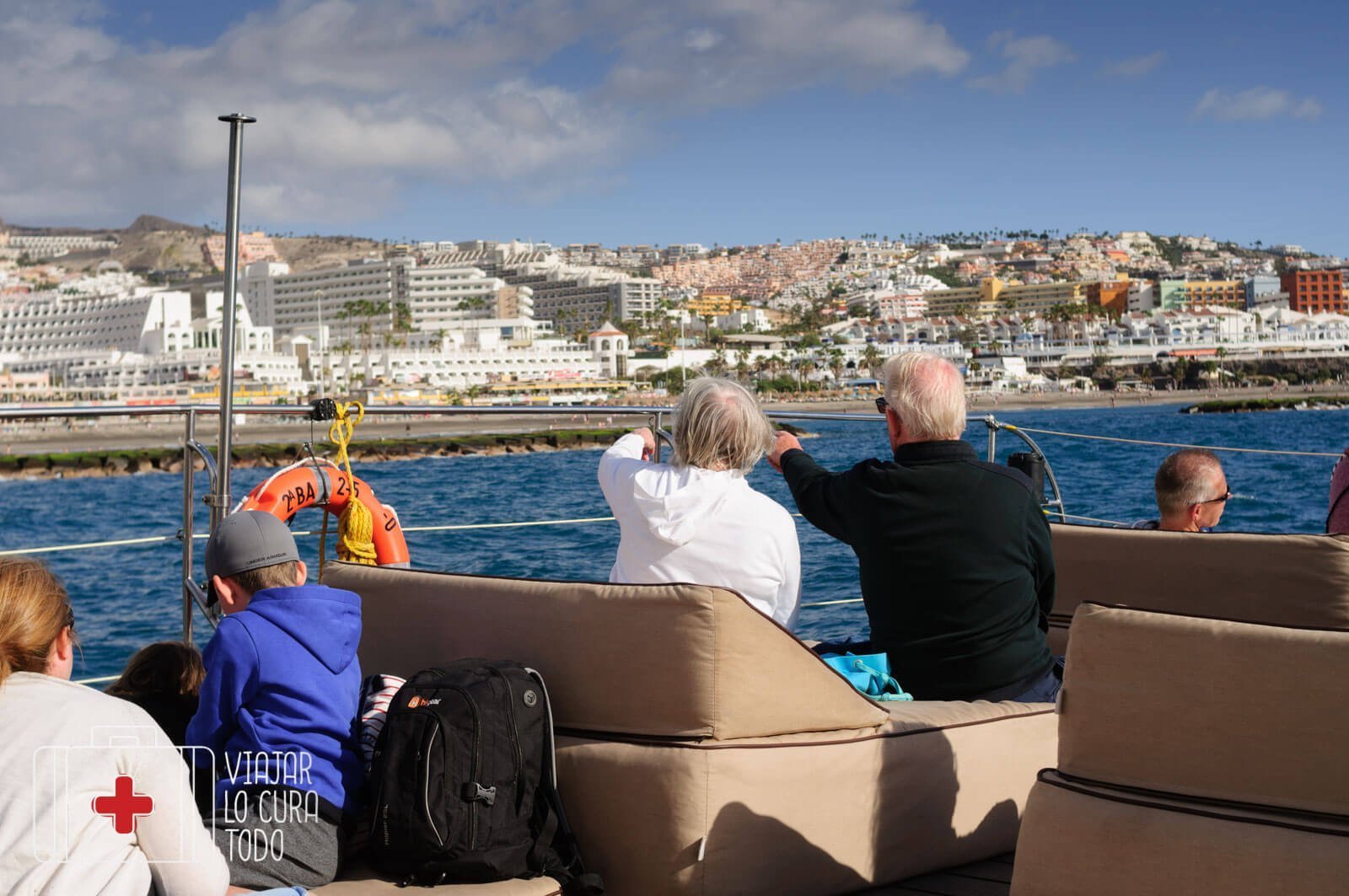 Avistamiento de delfines en libertad en Tenerife