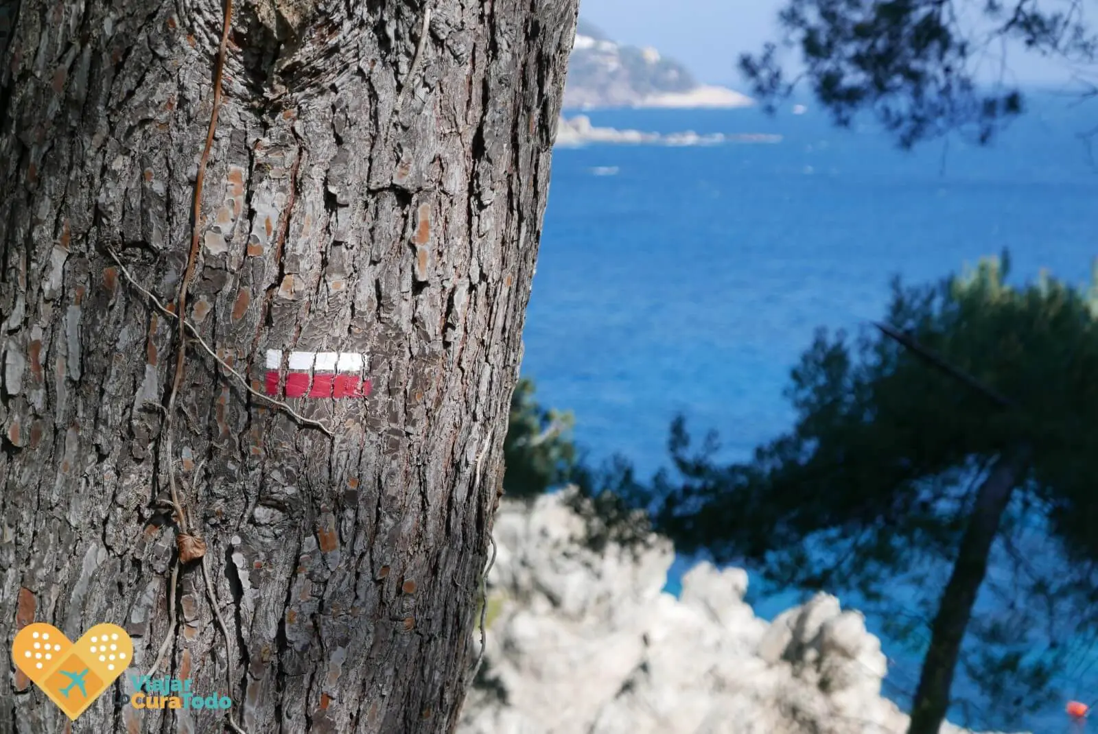 6 motivos para visitar Lloret de Mar (más allá de la fiesta)