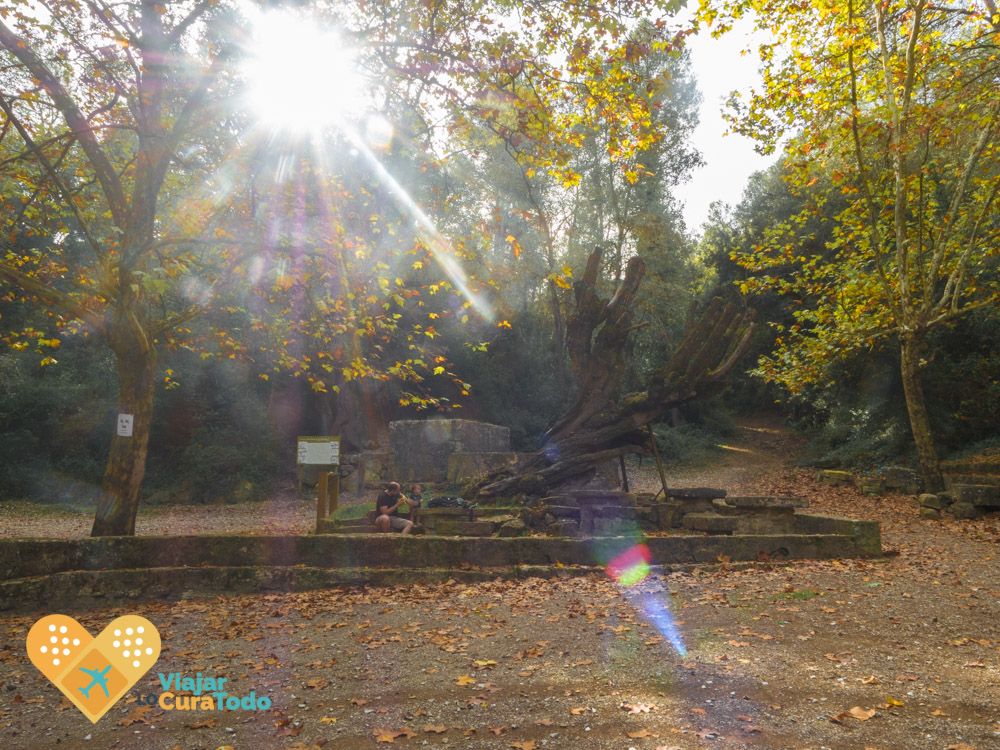 Font Cuitora otoño