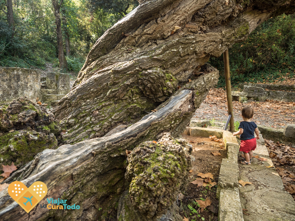 rutas con niños en la anoia