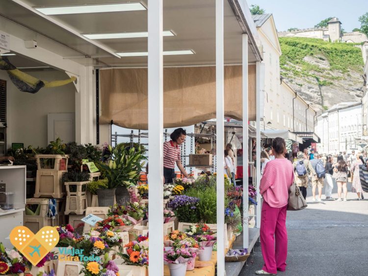 Qué ver en Salzburgo en verano: 8 planes fresquitos con o sin niños mercadillo universitätsplatz salzburg