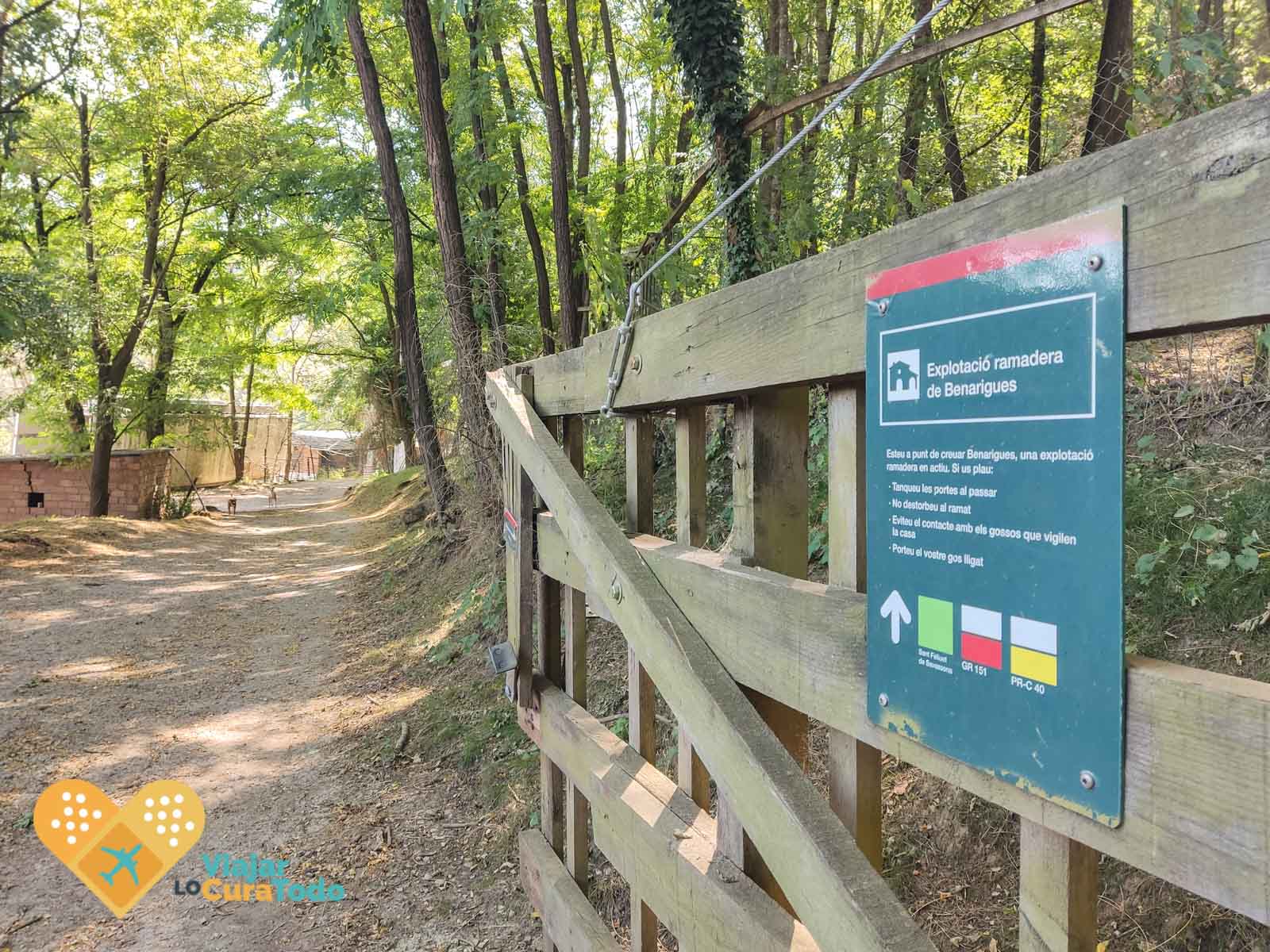 Ruta a Sant Feliuet de Savassona y cascada del Todrall explotacion ganadera osona