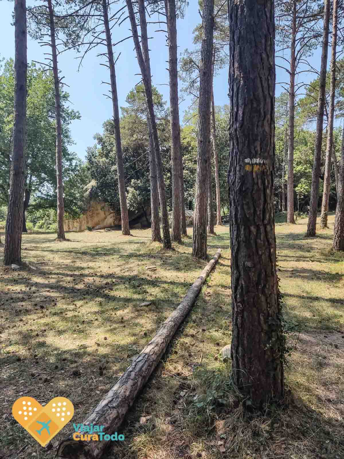 Ruta a Sant Feliuet de Savassona y cascada del Todrall pla de savassona